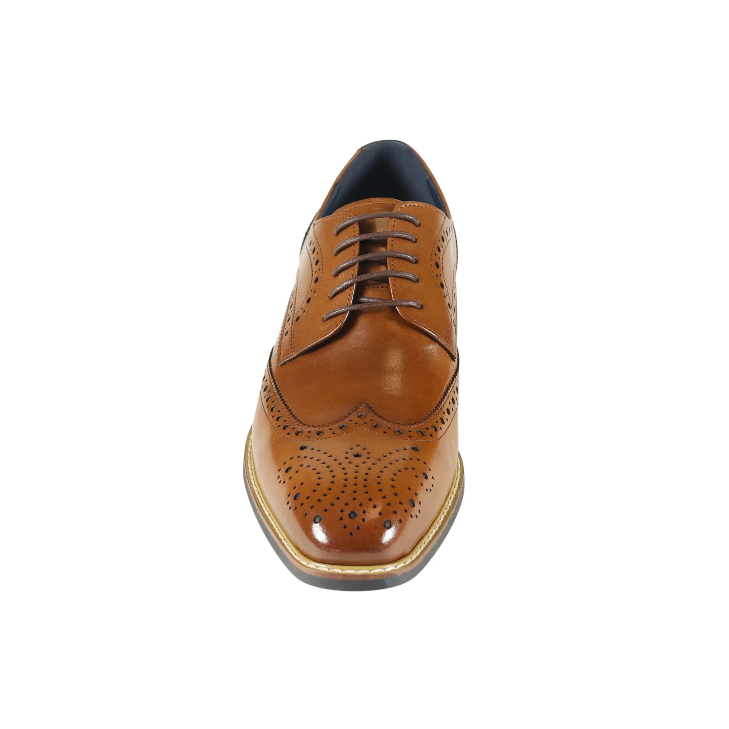 Venezia Gibson Brogue - Tan