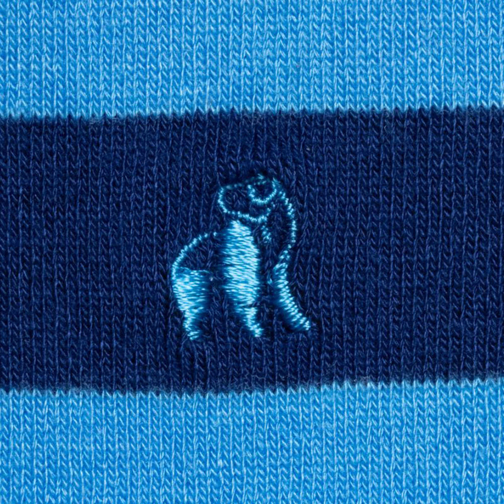 Sky Blue Stripe Bamboo Socks | Swole Panda